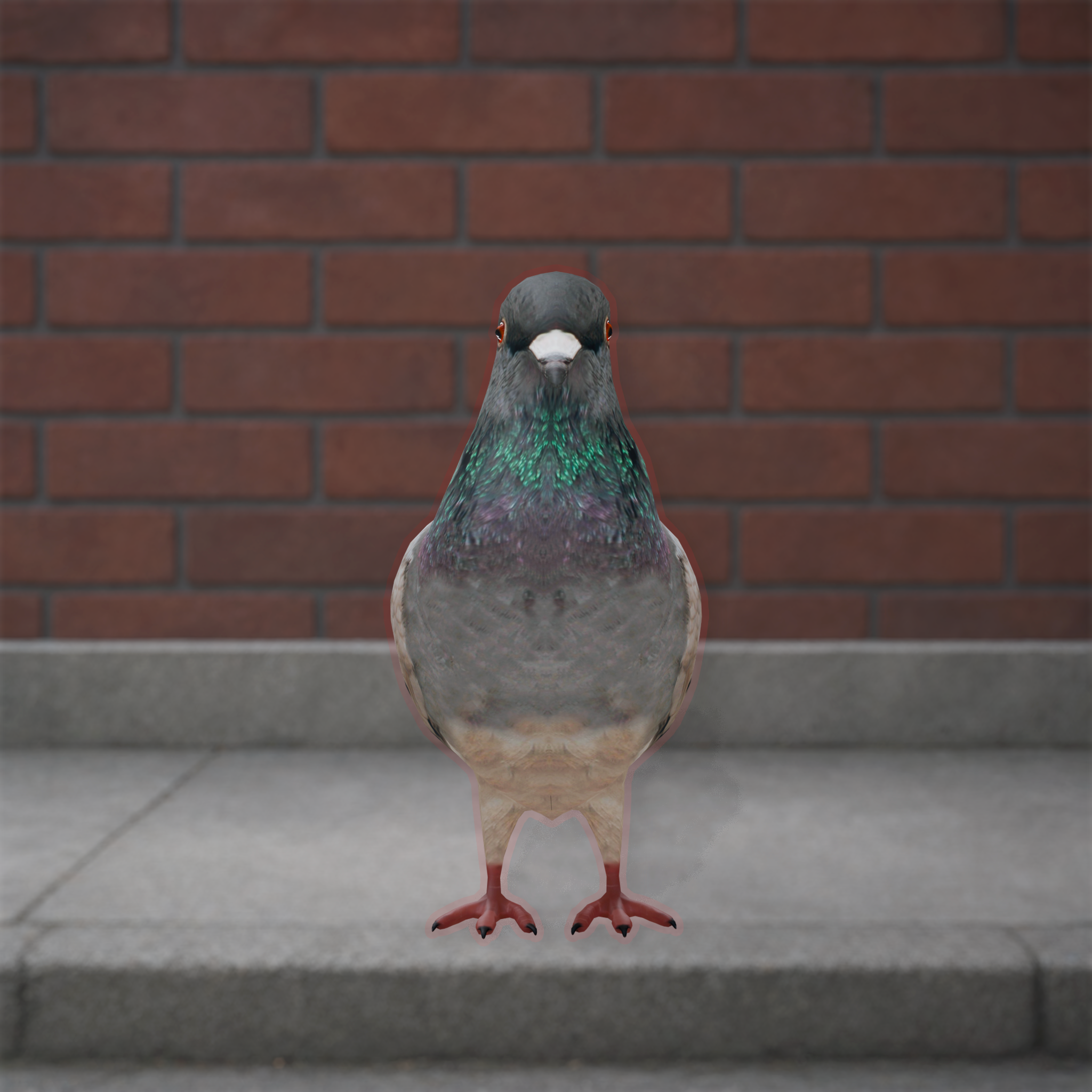 Talking Pigeon app icon